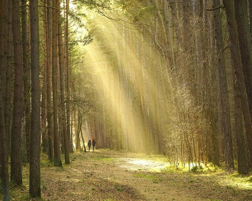 People enjoying a light active morning walk in a green park to maintain physical balance